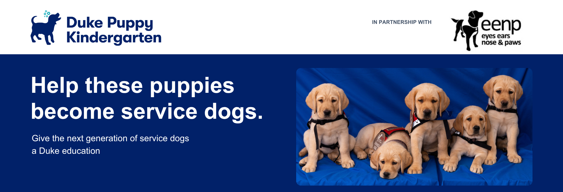 Duke Puppy Kindergarten